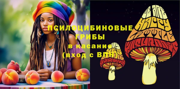 гидропоника Бронницы