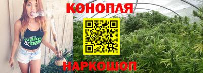Альфа ПВП Лесосибирск