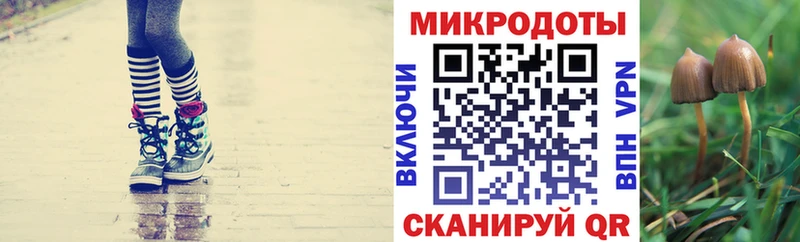 Псилоцибиновые грибы GOLDEN TEACHER  Дагестанские Огни 