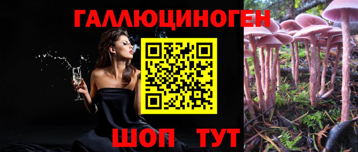 Галлюциногенные грибы GOLDEN TEACHER Дагестанские Огни